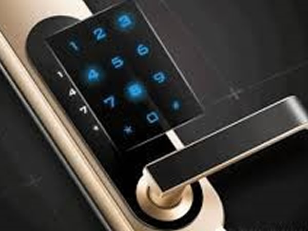 Fingerprint Lock Display Panel